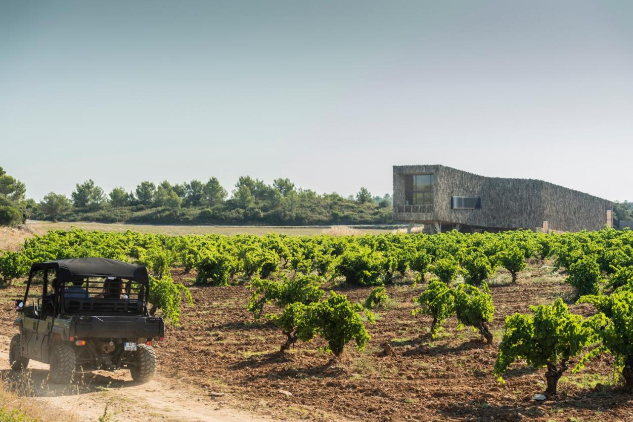 Village Castigno - Wine Hotel & Resort Assignan Kültér fotó